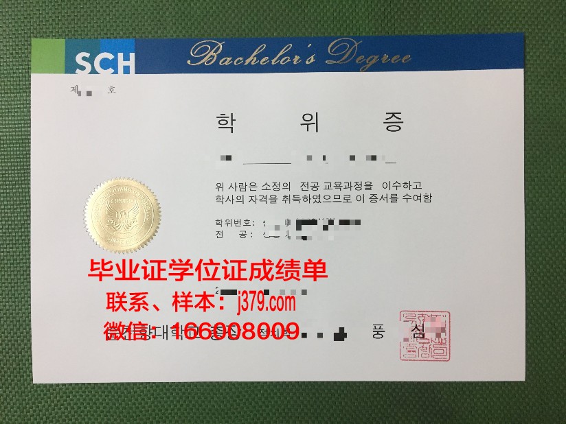 探秘顺天第一大学硕士学位证:一张证书背后的故事