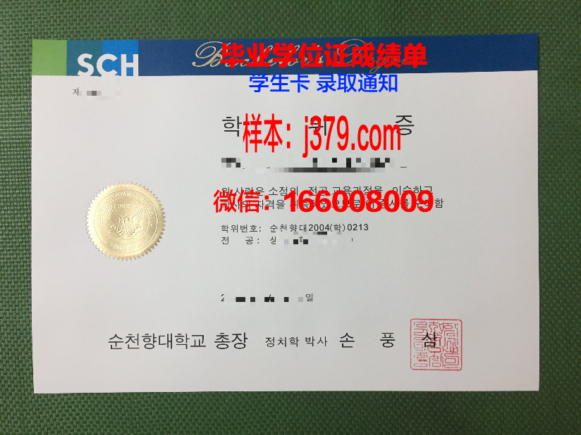 探秘顺天第一大学硕士学位证:一张证书背后的故事