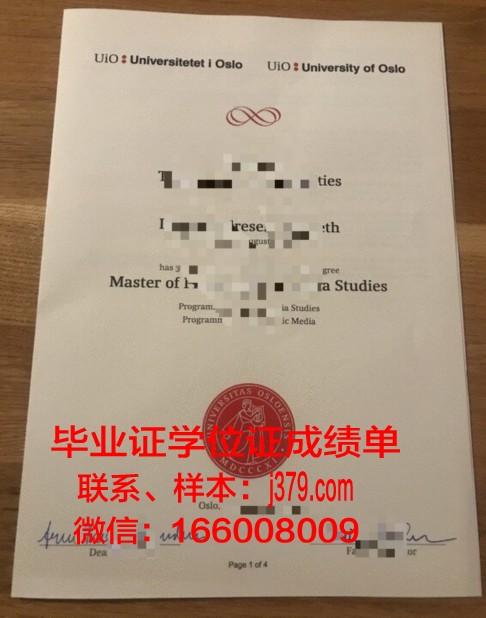 奥斯陆大学学院毕业文凭