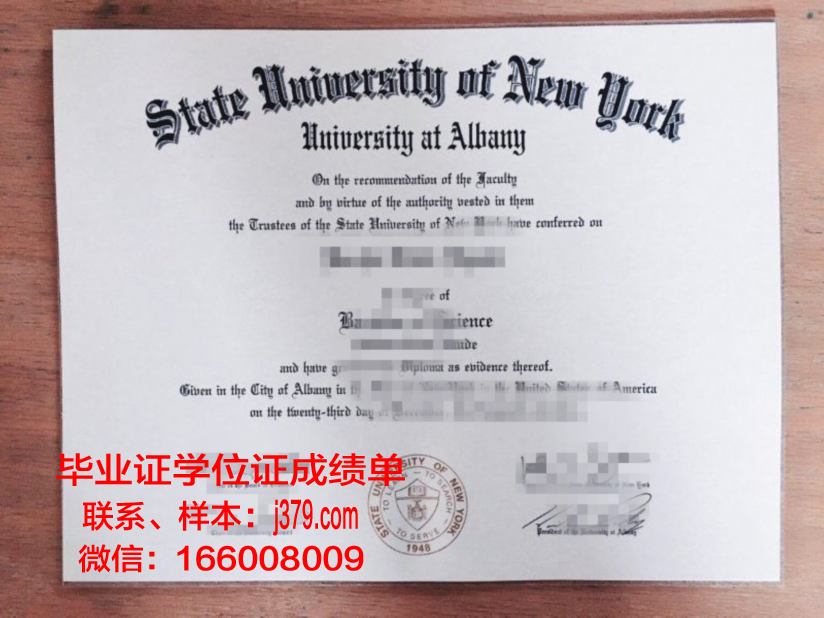 奥尔巴尼法学院毕业证书模板(奥尔巴尼分校算不算好学校)