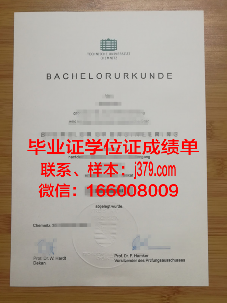 开姆尼茨工业大学毕业证书图片高清(开姆尼茨预科)