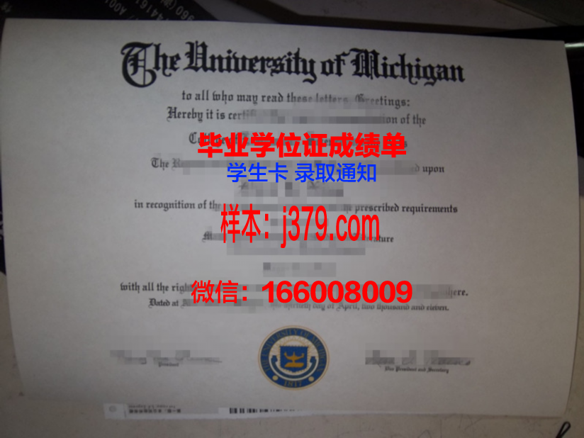 惠大毕业证:一张纸的重量与价值