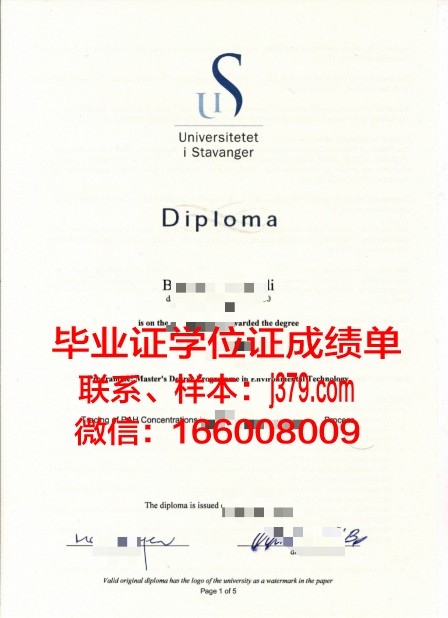 挪威经济学院毕业证是什么样子(挪威经济学院世界排名)