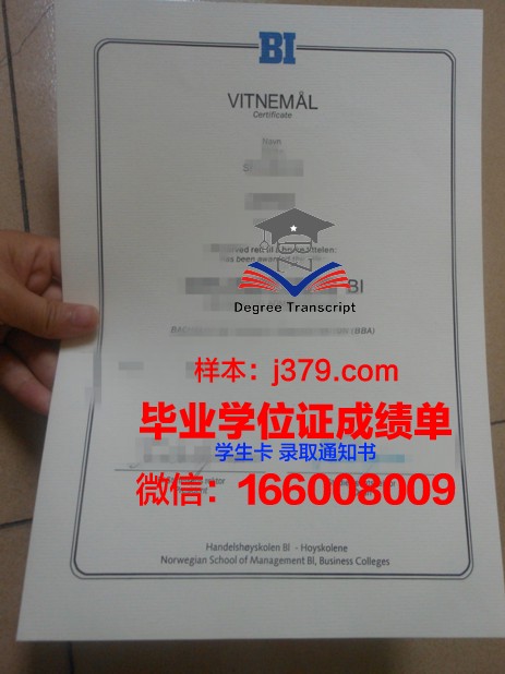 挪威经济学院毕业证是什么模样(挪威经济学院毕业证是什么模样图片)