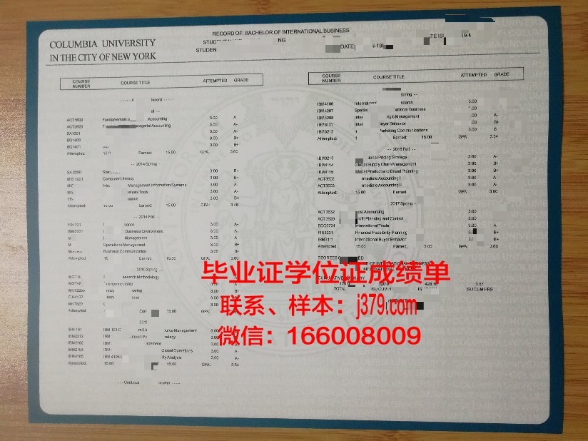 探索Hurricanes学位成绩单定制的奥秘