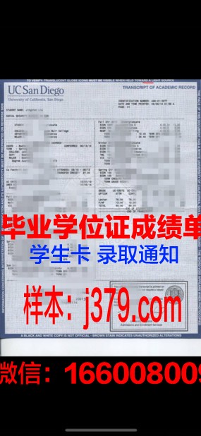 探索Hurricanes学位成绩单定制的奥秘