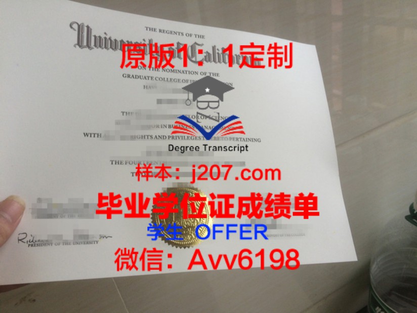 利兹三一大学学院毕业证Diploma文凭成绩单