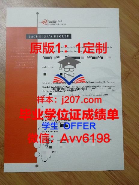 查尔姆斯理工大学毕业证样本