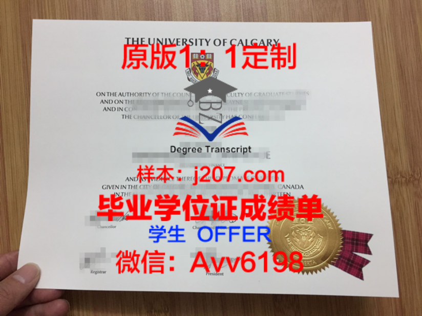 鲁昂国立应用科学学院毕业证Diploma文凭成绩单