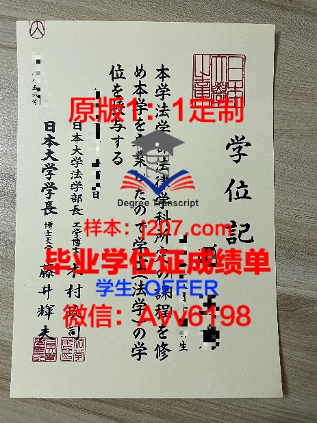 香港大学毕业证样本