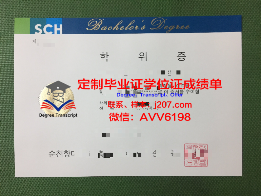 匹兹堡大学毕业证(匹兹堡大学吧)