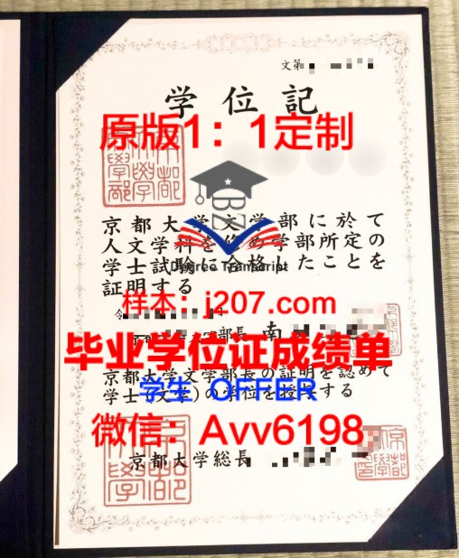 丁伯根研究所毕业证图片Tinbergen Institute Diploma