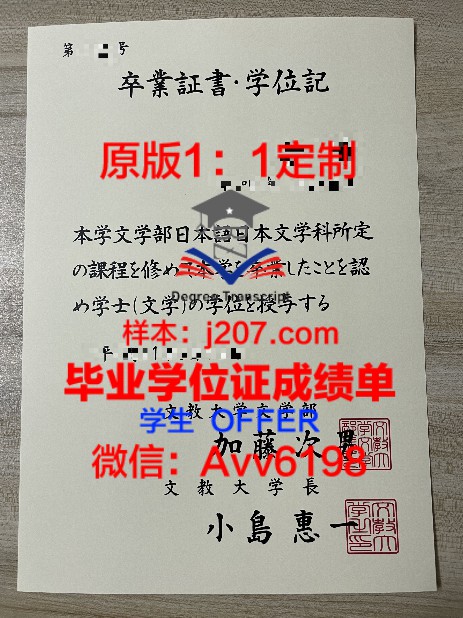 北京博士毕业人数创新高，揭示高层次人才培养新趋势