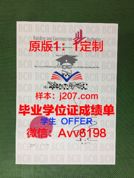 QUB学位证定制：追求个性化教育的体现