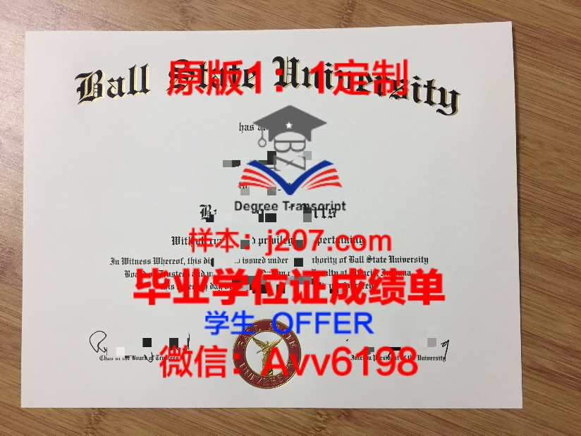 美国大学毕业成绩单打印攻略