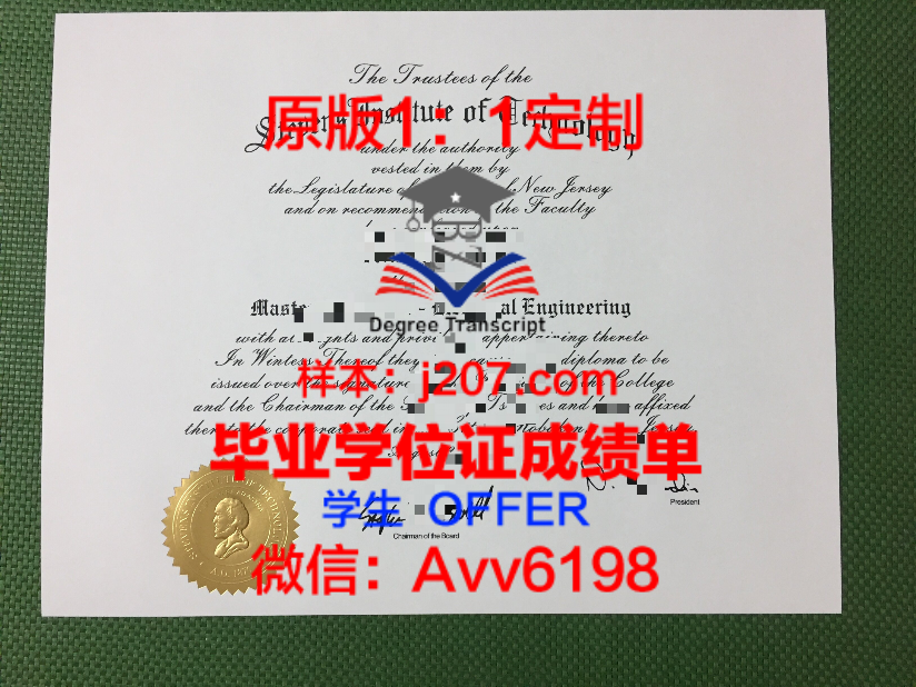 德国EBS商学院毕业证图片EBS Business School Diploma