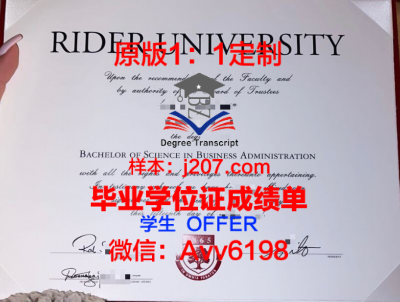 常春藤桥蒂芬大学（本科）毕业证图片Ivy Bridge College of Tiffin University (Undergrad Diploma