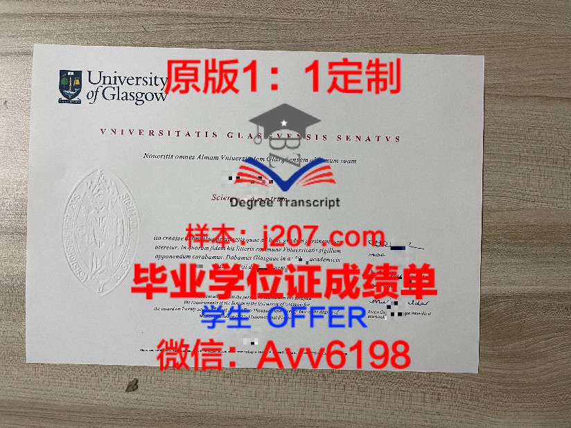 上海大学毕业证书补办指南：流程、材料及注意事项