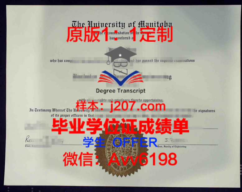 鹿大学位证：虚构与现实交织的反思之作