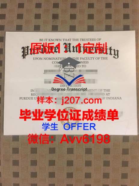 大连大学毕业证书：职场竞争力的“黄金招牌”