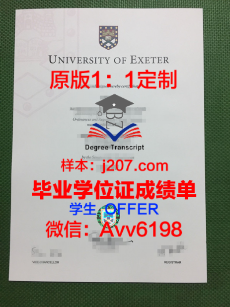 贵湖博士学位证：一份承载知识与荣誉的证书