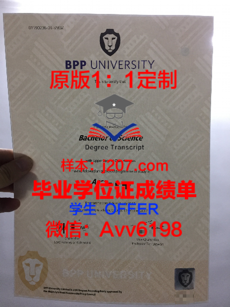 探索动漫艺术新高度——专门学校动漫艺术学院博士学位证的非凡价值