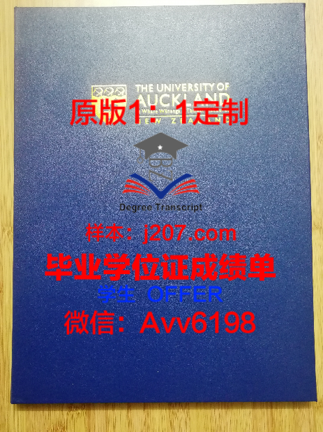 巴黎XI学位成绩单定制：揭秘背后的市场需求与道德困境