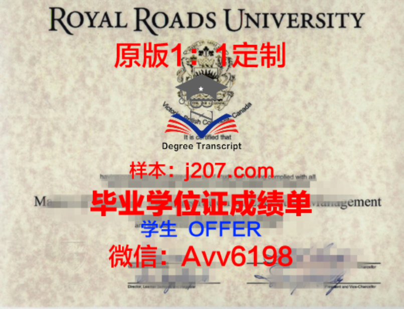 卡尔加里大学专业设置：多元化的学术选择，助力学子未来