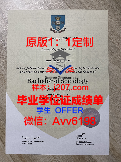 阿哥德大学毕业证图片Universitetet i Agder Diploma