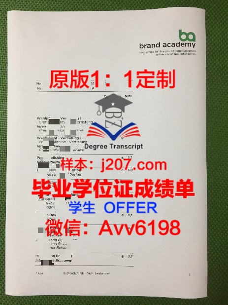 Van der Boch硕士学位证：学术成就的见证与荣耀的象征