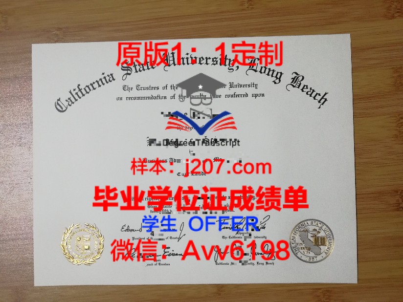 查尔斯顿艺术学院毕业证图片Art Institute of Charleston Diploma