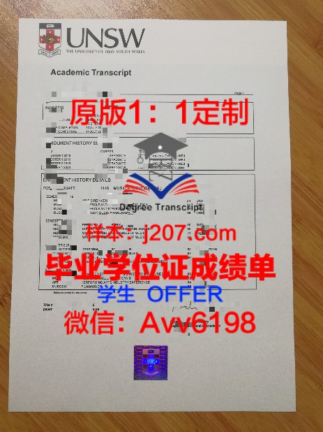 UI学位证定制