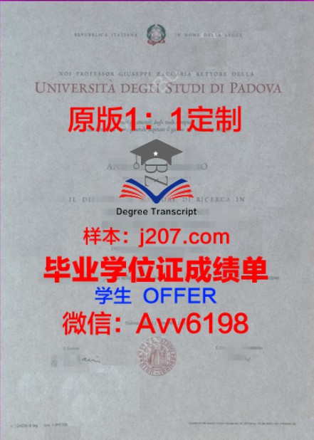 毕业证图片Lewis  Diploma