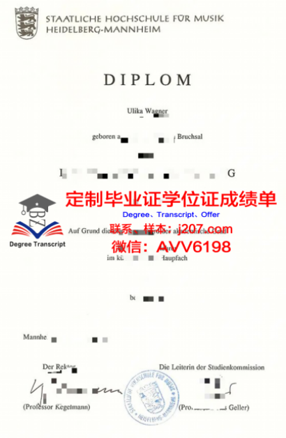 俄罗斯科学院西伯利亚分院考古与民族学研究所毕业证长什么样