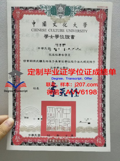 俄罗斯联邦卫生部圣彼得堡国立儿科医科大学本科毕业证(圣彼得堡国立大学临床医学怎么样)