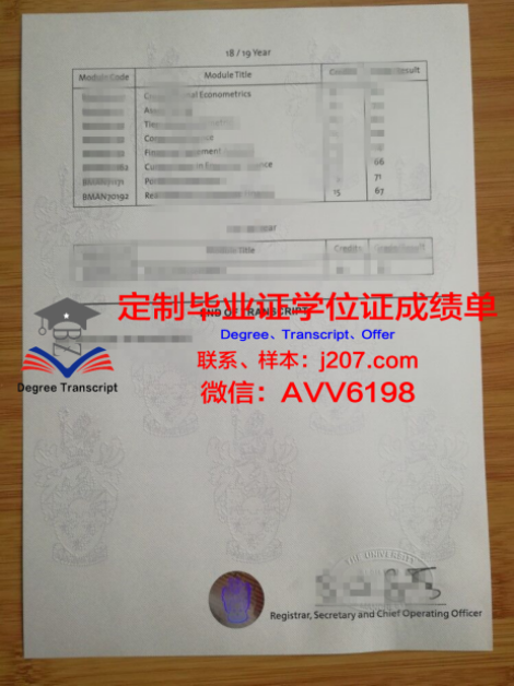 俄罗斯科学院生物有机化学研究所学位成绩单定制：专业与信誉的保障